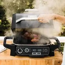 Ninja Woodfire Grill Pros and Cons